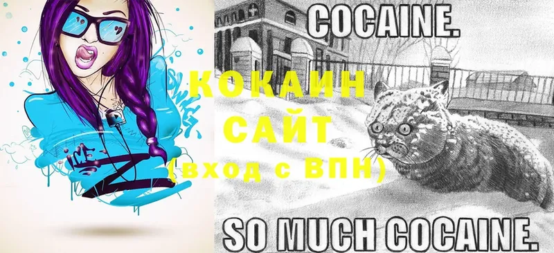 как найти   площадка формула  COCAIN Эквадор  Артёмовск 